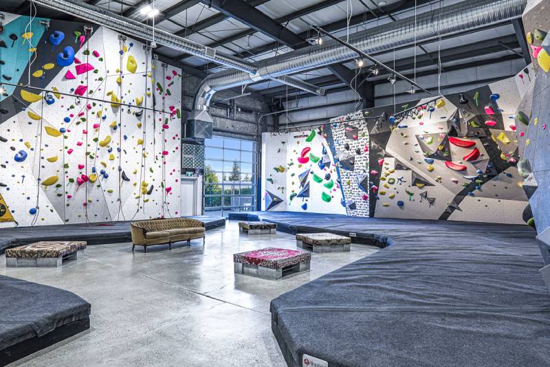 climbing-wall-for-gym, Climbing Wall Manufacturers in India