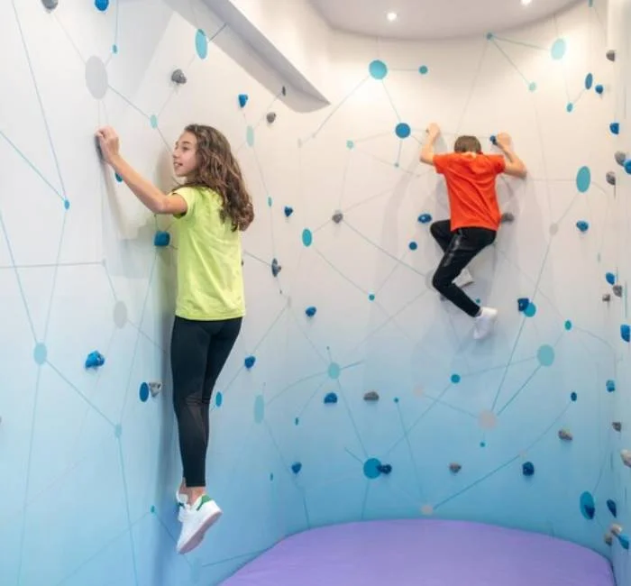 Climbing Wall for School