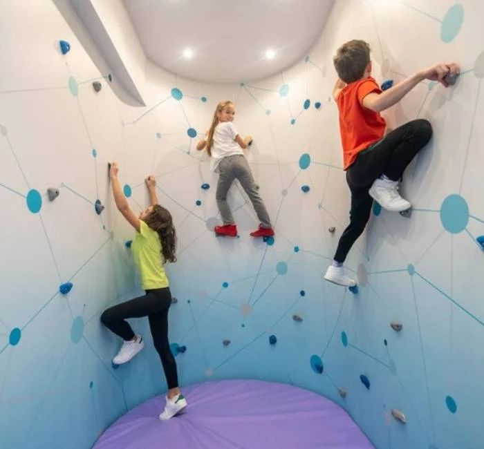 Climbing Wall for School