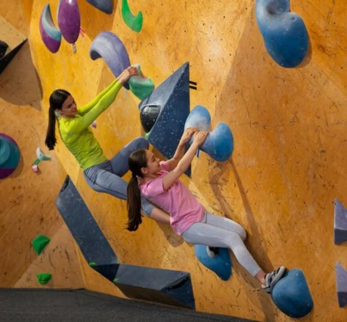 Climbing Wall for School