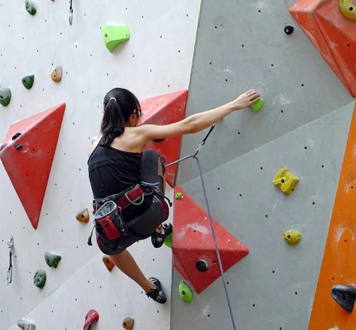 Climbing Wall for Defence