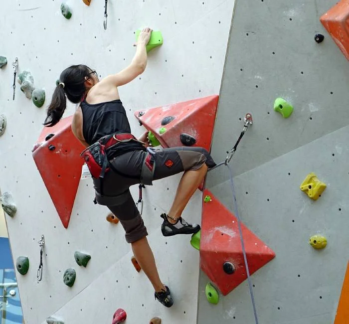 Climbing Wall for Defence