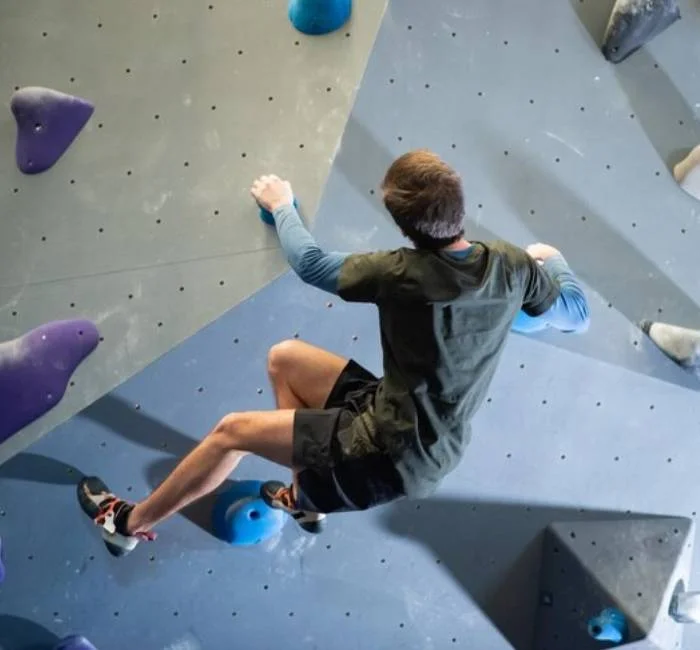 Climbing Wall for Gym
