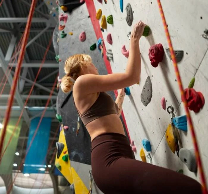 Climbing Wall for Gym