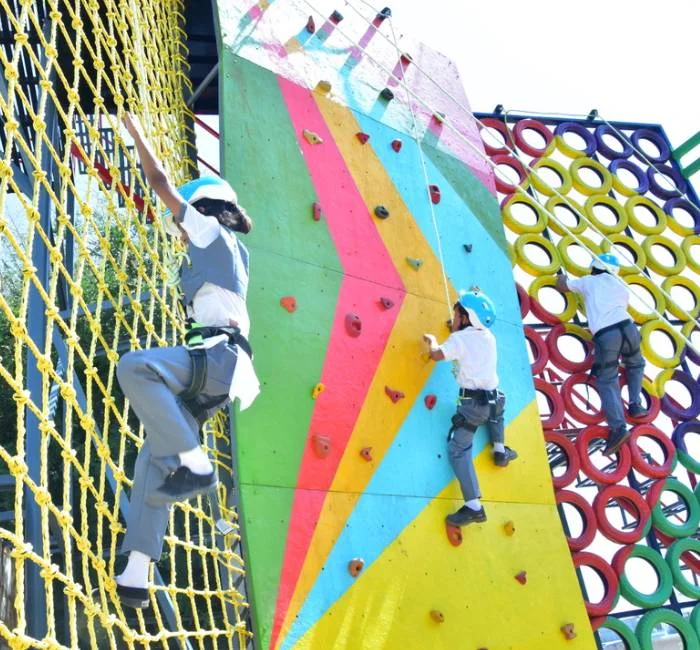 Climbing Wall for Adventure Parks