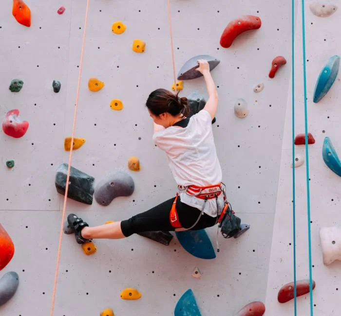 Mix Climbing Holds