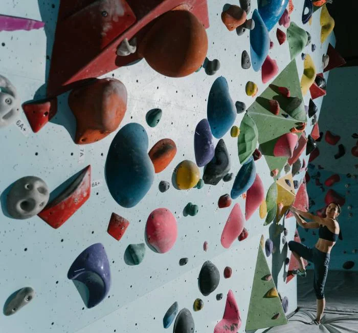 Mix Climbing Holds