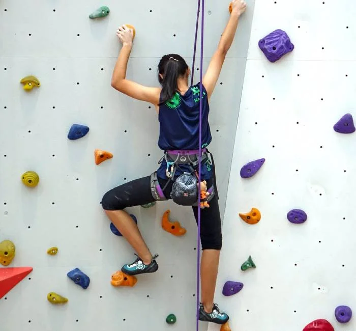 Pre School Climbing Wall