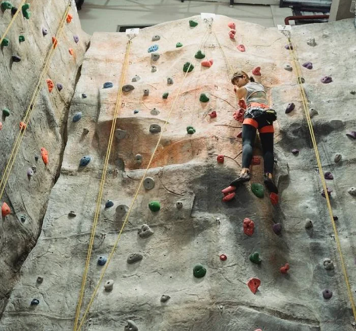 Stone Climbing Wall