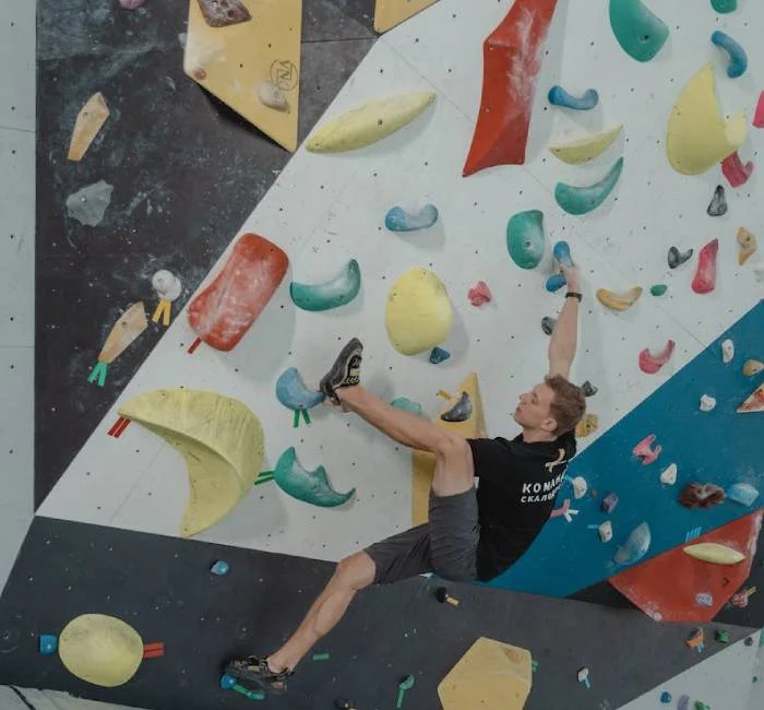 Stone Climbing Wall