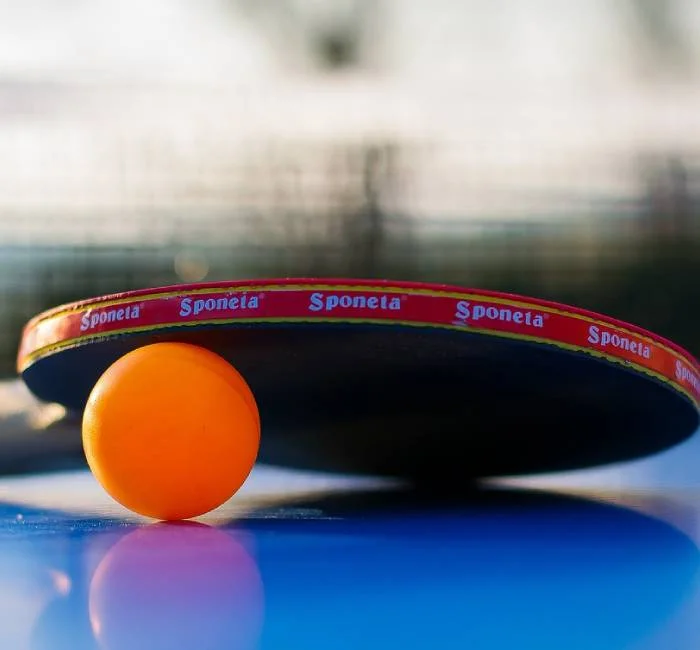 Table Tennis Game
