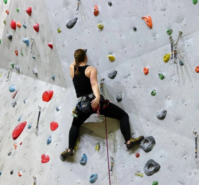 Climbing Wall For Defence