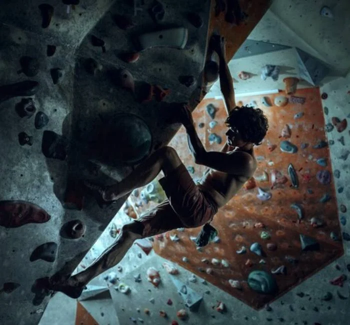Climbing Wall For Gym