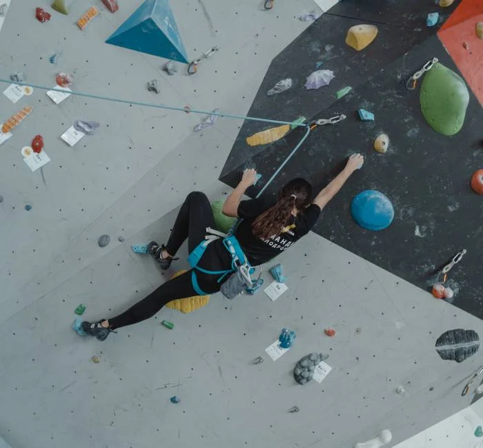 Stone Climbing Wall